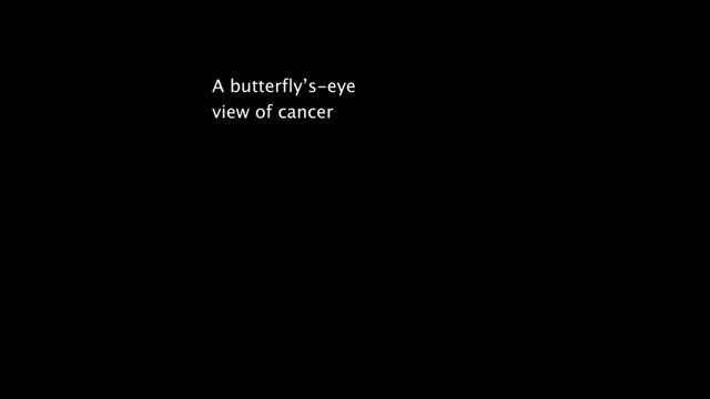A Butterfly's-Eye View of Cancer
