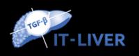 IT-liver