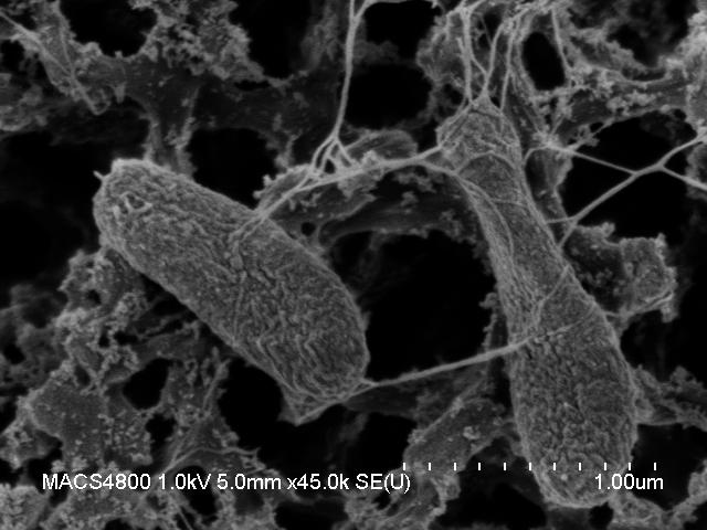 Nanowires