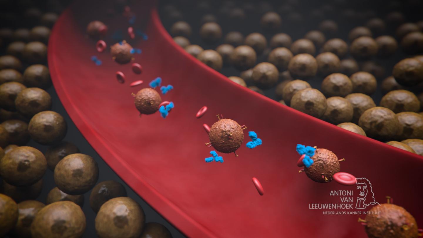 Checkpoint Inhibitor in the Bloodstream