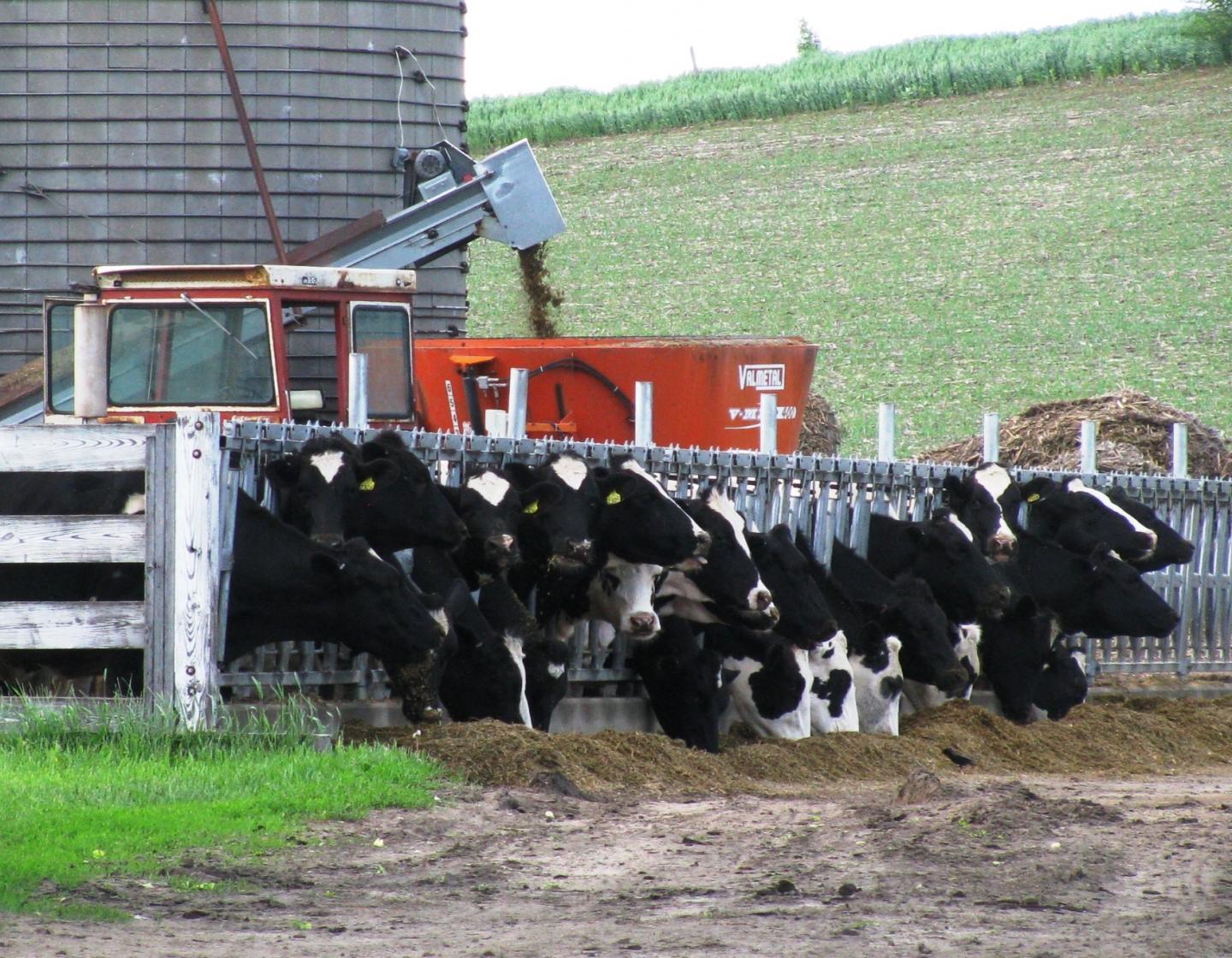 Farm in Southern Wisconsin (2 of 2)