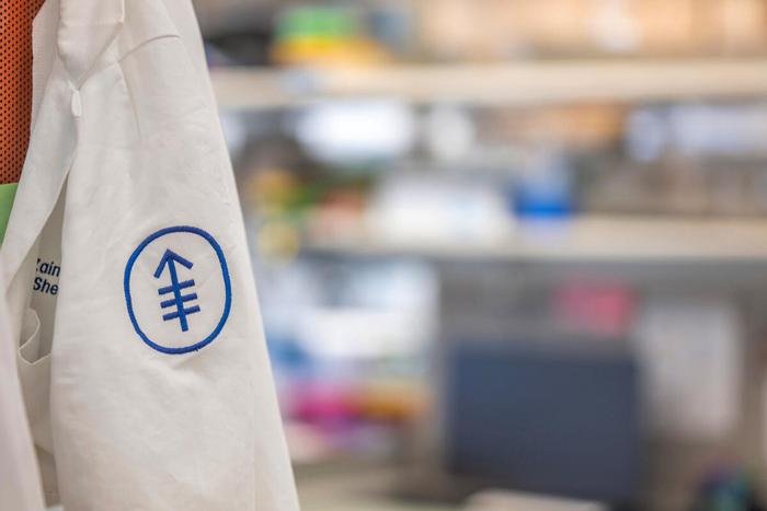MSK Lab