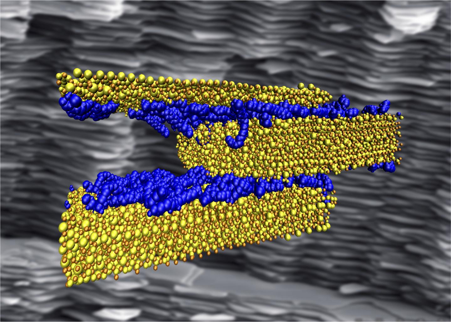 Interfacial Interactions of Polymer