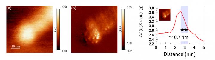 Fig. 2