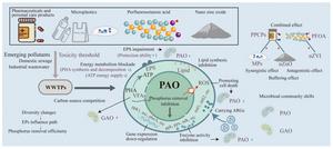 A review of the effect and metabolic mechanism of emerging pollutants on enhanced biological phosphorus removal processes