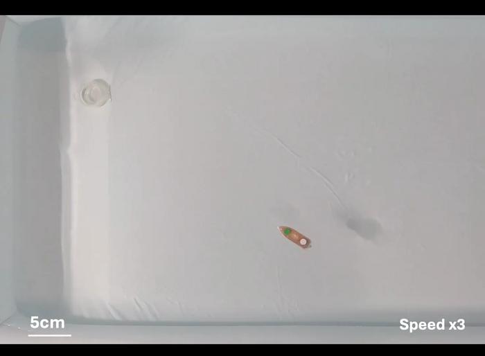 Eco-friendly aquatic robot is made from fish food (motion demonstration)