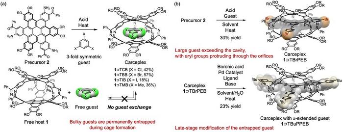 Figure 3. Synthesis of carceplexes and chemical transformation of entrapped guests.