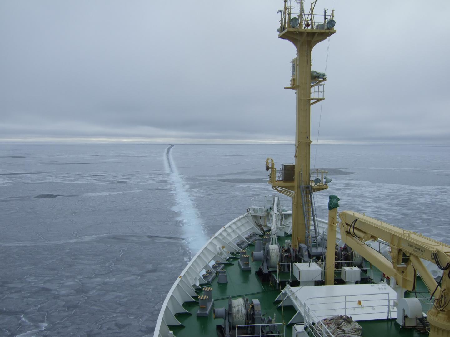 Figure 3. The RV Mirai