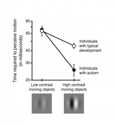 Visual Sensitivity