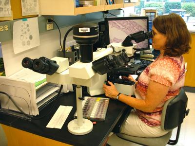 Histology
