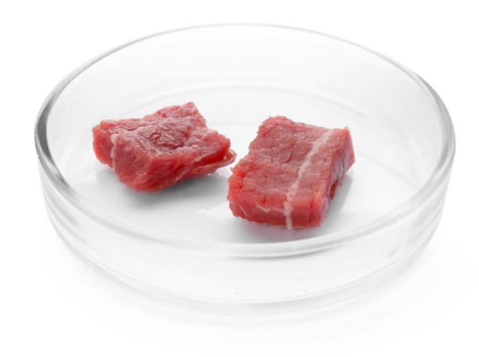 Lab grown meat