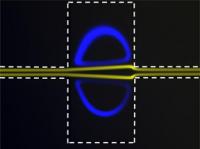 Size Dependence of Particle Trapping