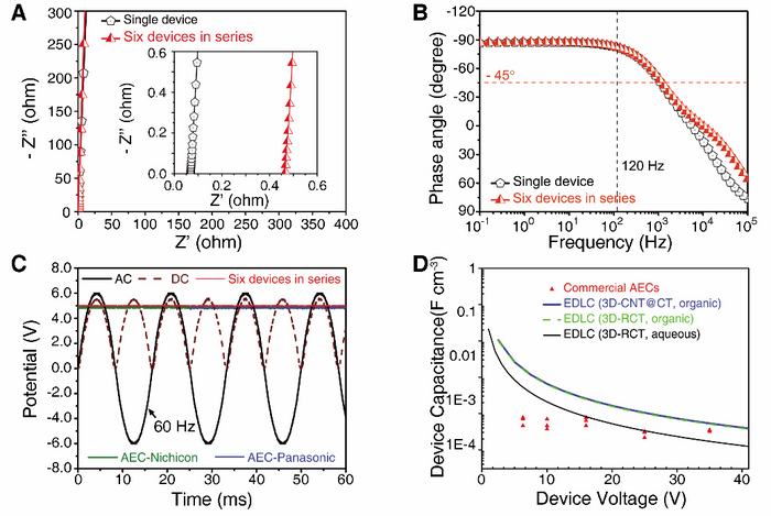 Miniaturized High-Performance Filter Capacitor Based on Structurally Integrated Carbon Tube Grids
