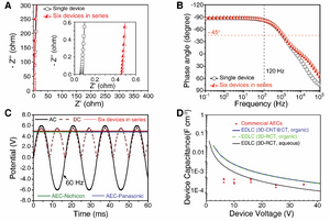 Miniaturized High-Performance Filter Capacitor Based on Structurally Integrated Carbon Tube Grids