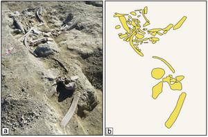 From meat to raw material: the Middle Pleistocene elephant butchery site of Casal Lumbroso (Rome, central Italy)