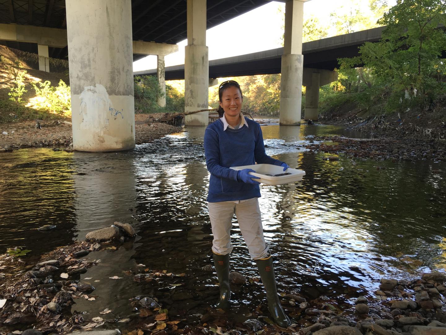 Sampling in the Gwynns Falls at Carroll Park