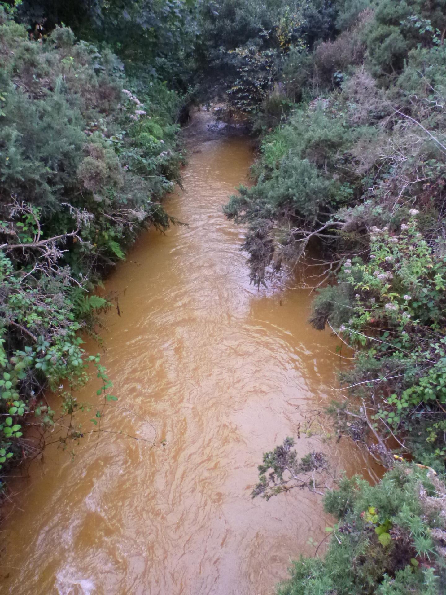 River Hayle, Cornwall, UK