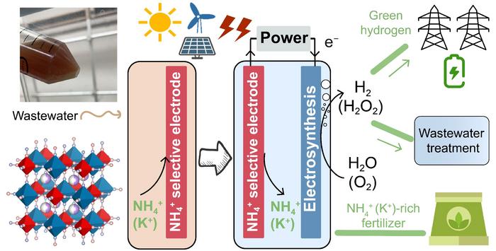 Electrochemical Ammonia Recovery Using Redox-Active Materials