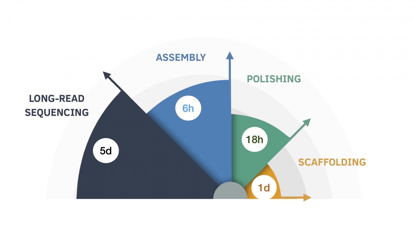 Nine-Day Assembly