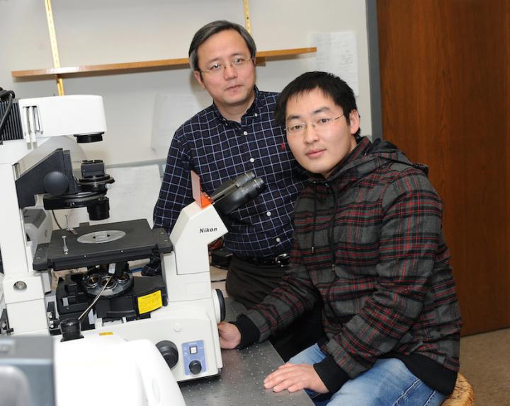Hanbin Mao and Yue Li, Kent State Unversity