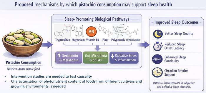 Proposed mechanisms by which pistachio consumption may support sleep health