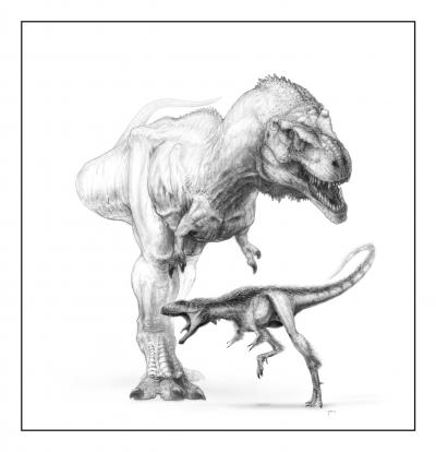 A Tiny Tyrannosaur