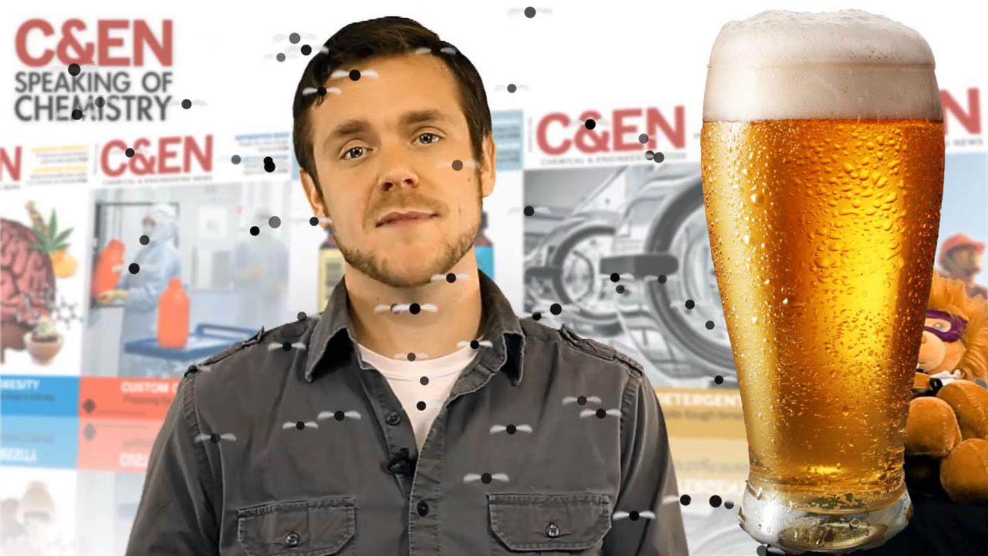 Why Fruit Flies Could Lead to Better Beer (Video)