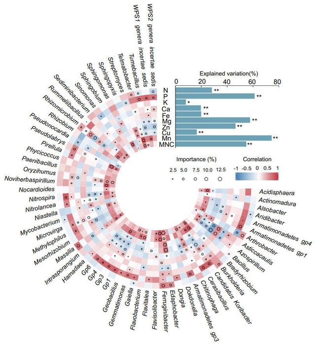 Potential biological contributions of genus-level core taxon on plant nutrient traits.