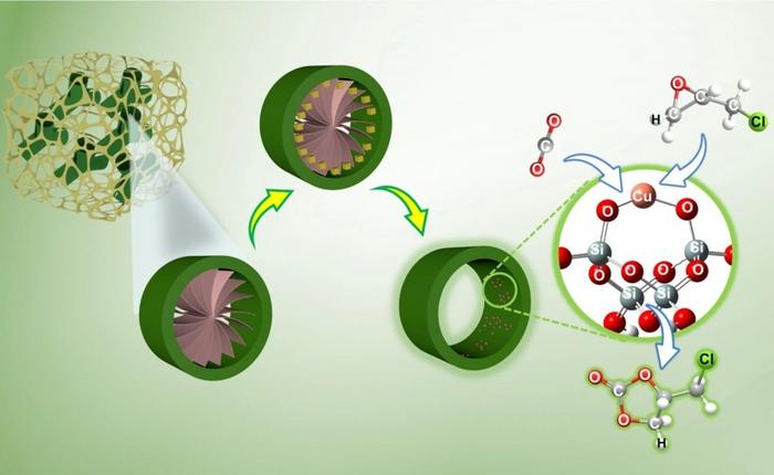SCHEMATIC DIAGRAM OF THE PREPARATION OF SINGLE-ATOM COPPER CATALYST