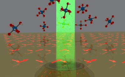 Schematic Representation