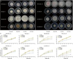 Figure.7 Screening of salt-tolerant (capable of tolerating 0.75 M NaCl) EF.