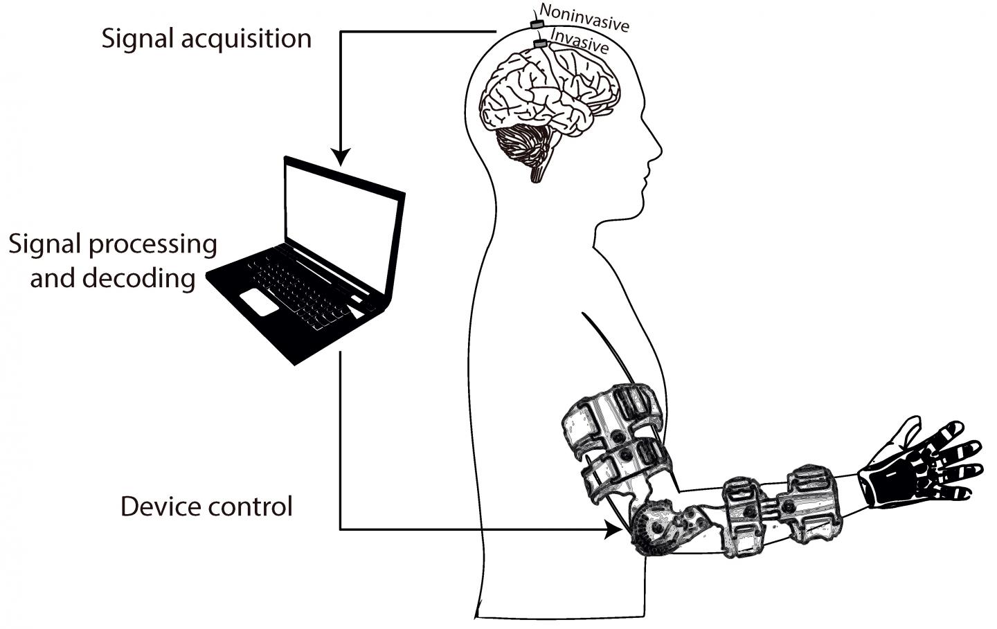 General Siagram of a Brain-machine