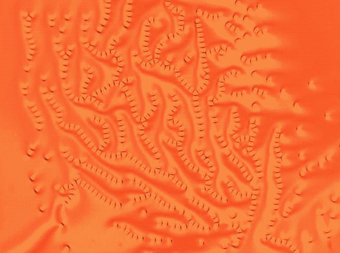 Swirling Solitons
