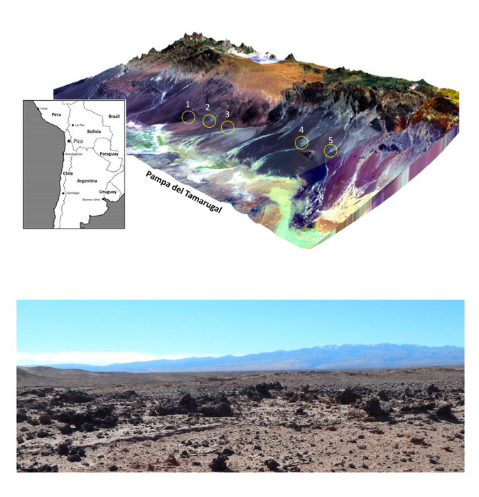 Glasses strewn across the desert