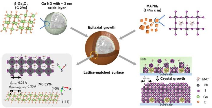 Liquid Metal Templating for High-Efficiency Perovskite Solar Cells