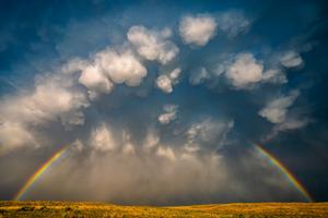 Members' Choice: "Rainbow Cataclysm"