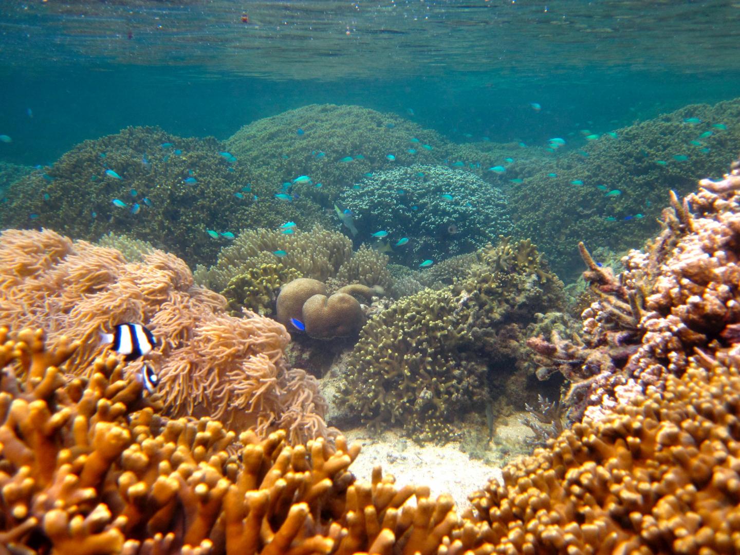Marine Protected Area