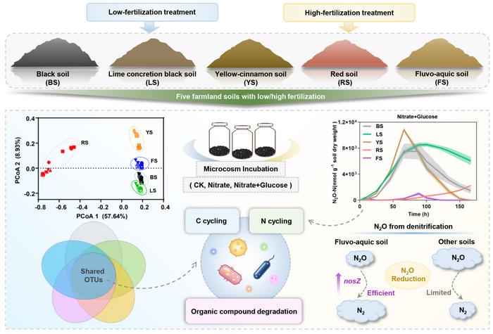 Comparative study of microbial communities and denitrification gas emissions in typical Chinese farmland soils under varying C/N conditions
