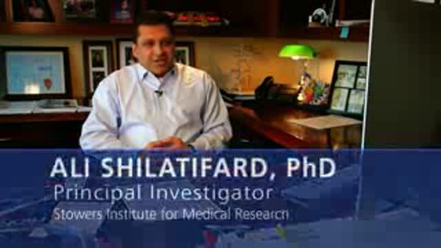 Could Far-Flung Mutations in the Genome Activate Cancer-Causing Genes? Ask an Expert!