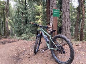 Mountain biking trails