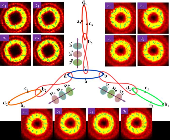 Generation of diverse quantum path