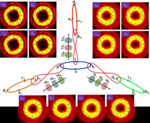 Generation of diverse quantum path