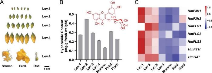Fig.1