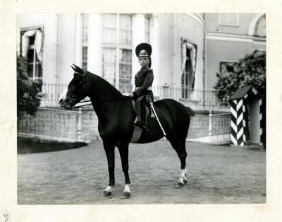 'Royal Disease' Was Hemophilia B (5 of 6)