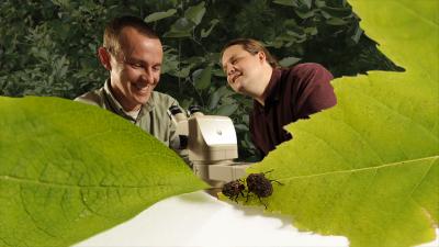 Scott Egan and Daniel Funk, Vanderbilt University