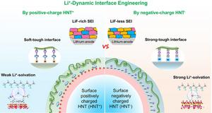 Lithium‑Ion Dynamic Interface Engineering of Nano‑Charged Composite Polymer Electrolytes for Solid‑State Lithium‑Metal Batteries