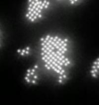 Nano-Structure (2 of 2)