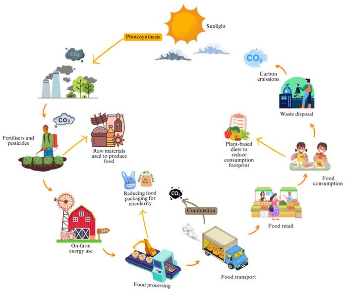 Optimizing carbon emissions and SDG-12 performance in the EU food system
