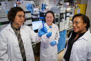 Image 2 - Prof Mary Chan, Dr Kaixi Zhang, Prof Paula Hammond
