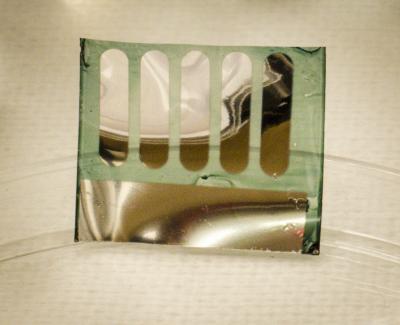 Solar Cell from Trees (1 of 2)